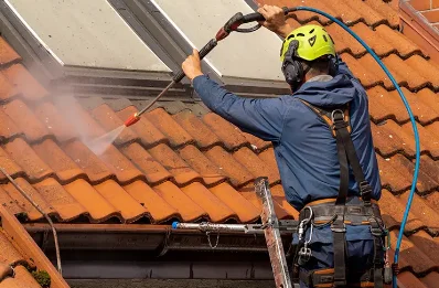 Démoussage et hydrofuge de toiture à Treteau
